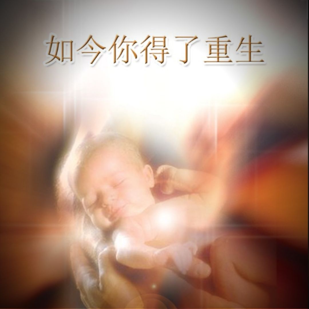 你已經重生