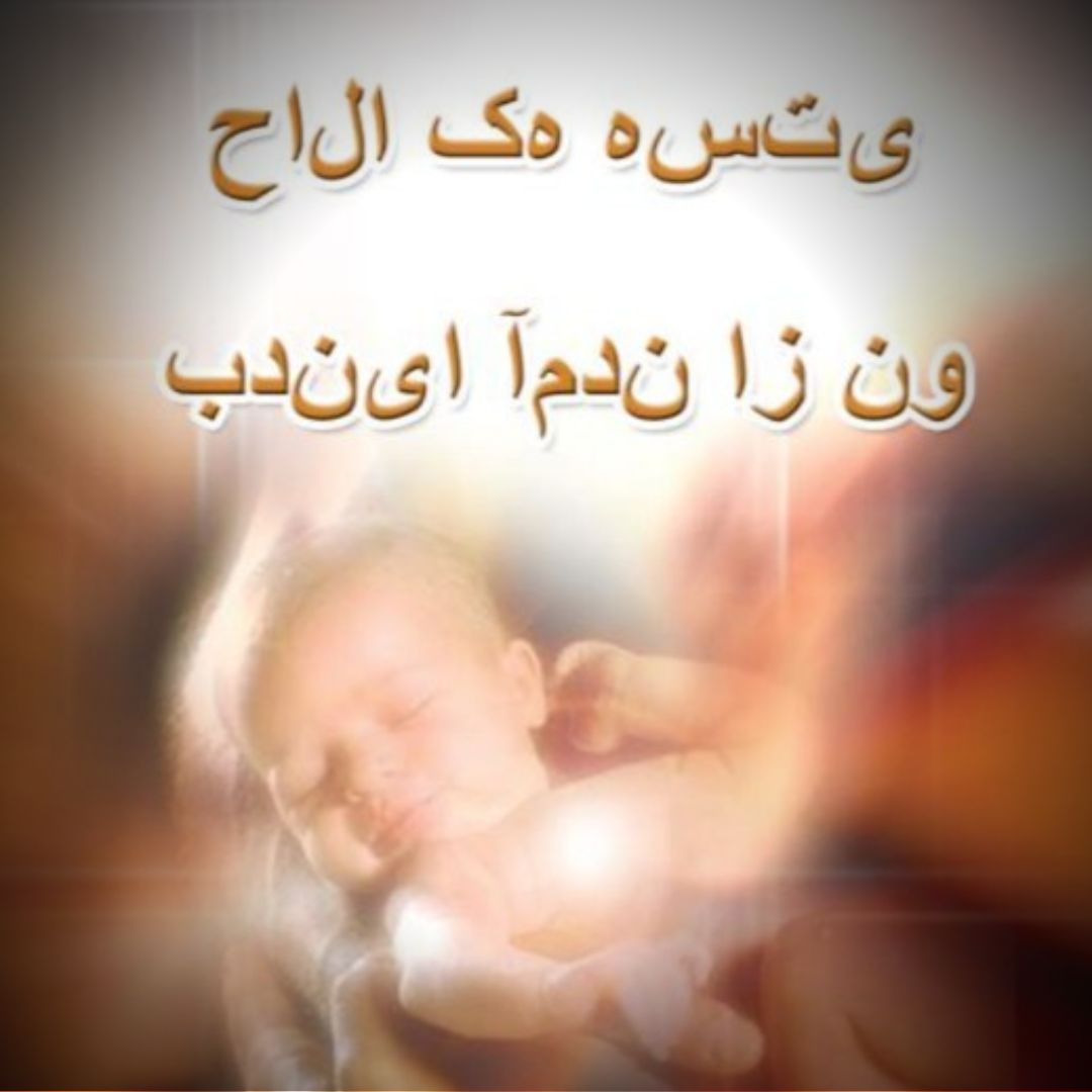 بدنیا آمدن از نو