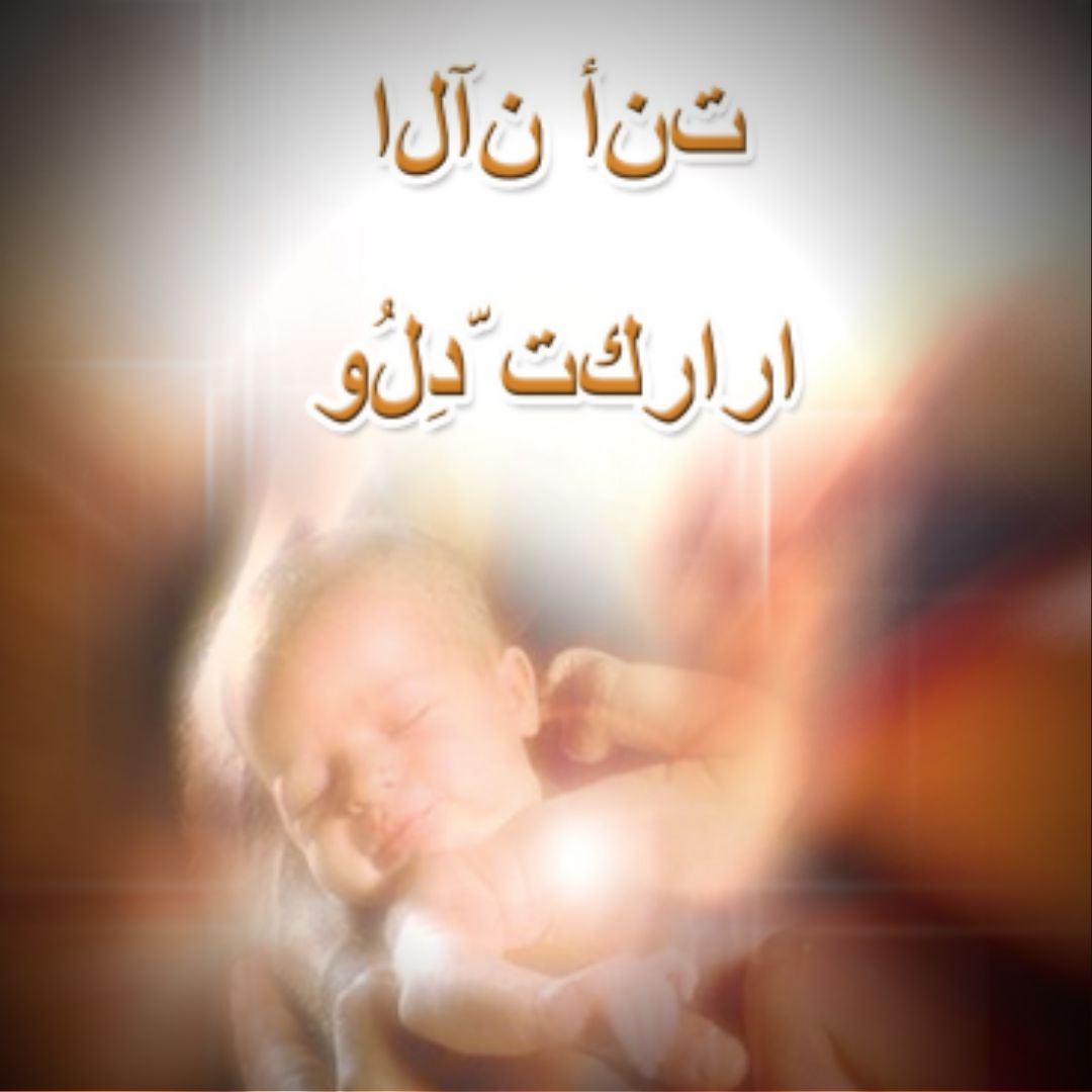 توا كي تولدت من جديد