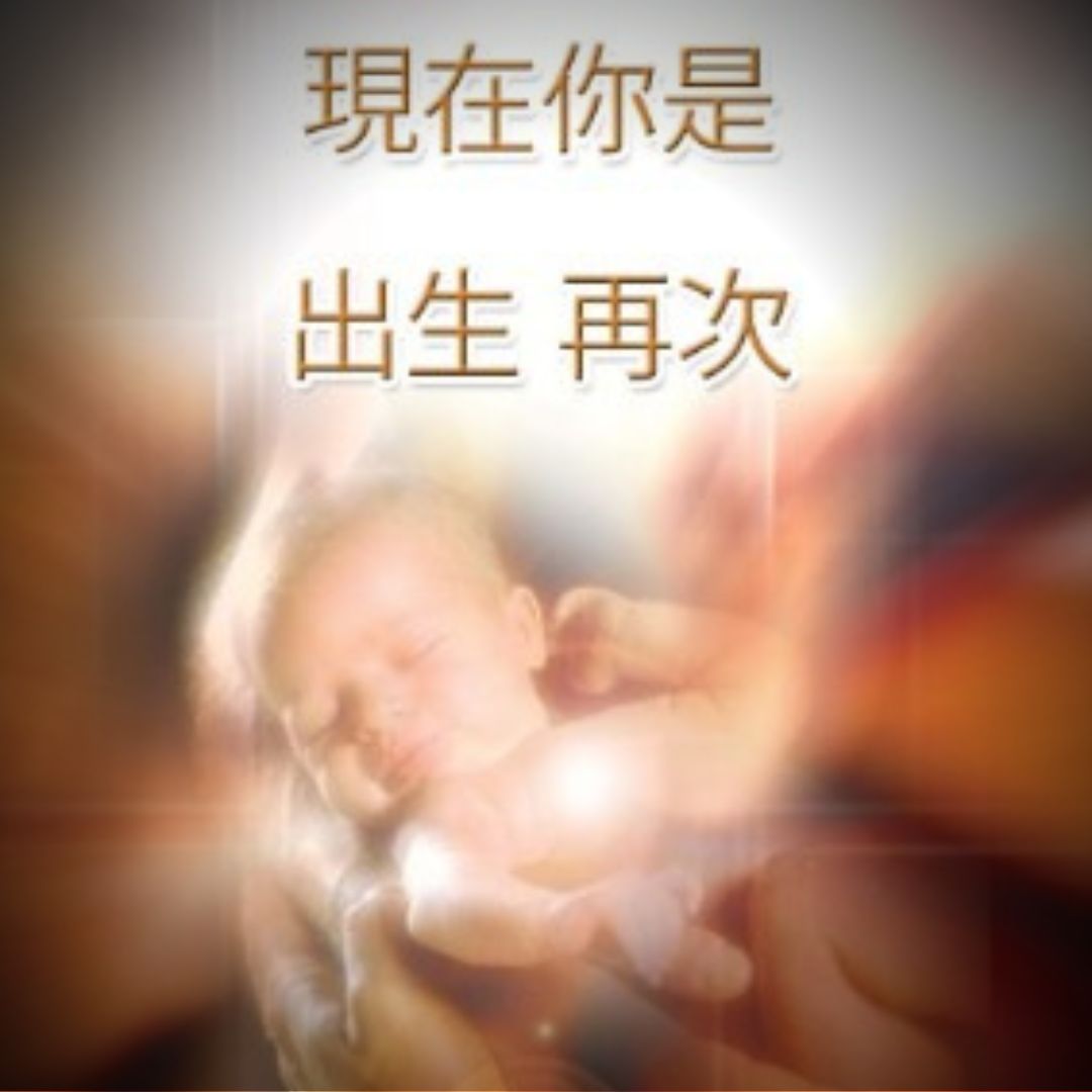 如今你已重生
